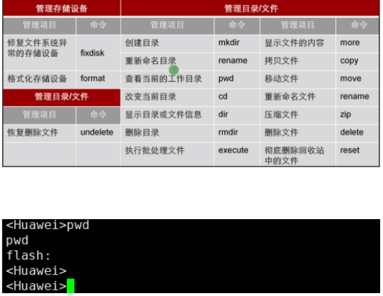 image-20240219142904272