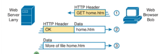 image-20240219153725530