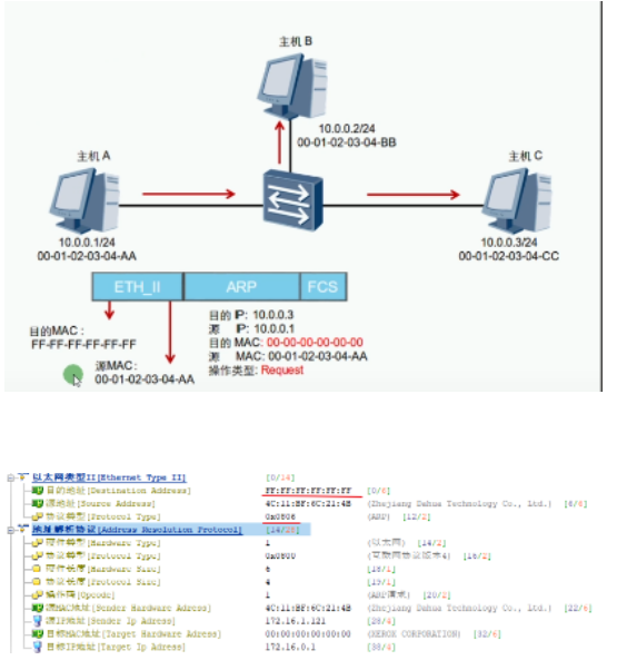 image-20240219155329773