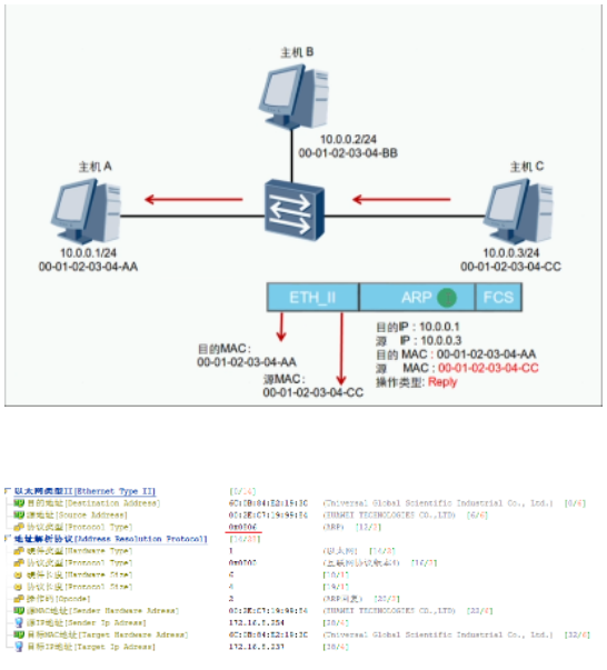 image-20240219155338765
