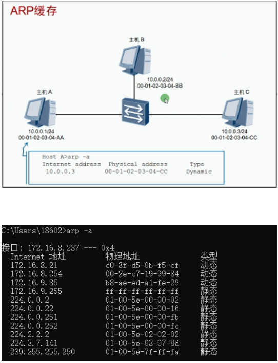 image-20240219155349077