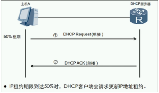 image-20240219155617838