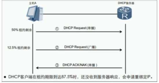 image-20240219155635089