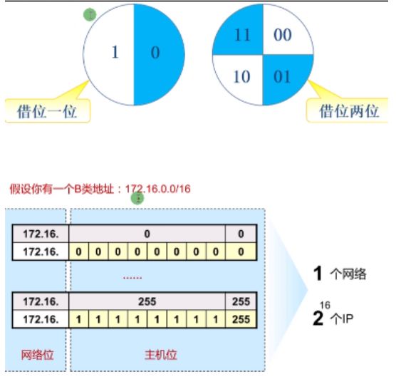 image-20240219160656935
