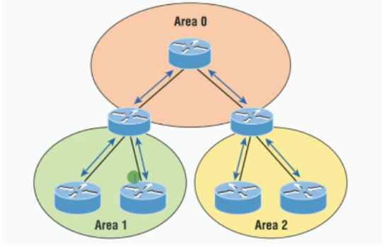 image-20240219161319874