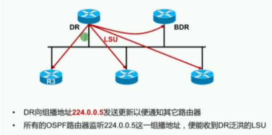 image-20240219162915860