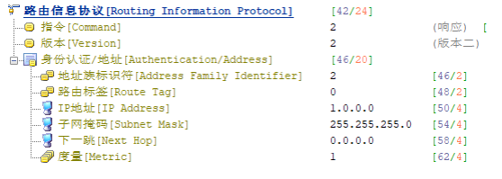 image-20240219163102085