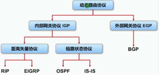 image-20240219163531956