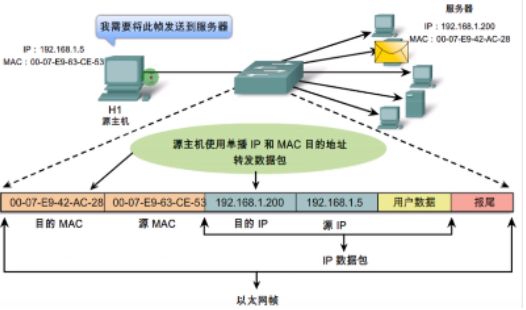 image-20240219163244903