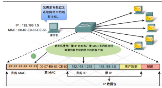 image-20240219163252075