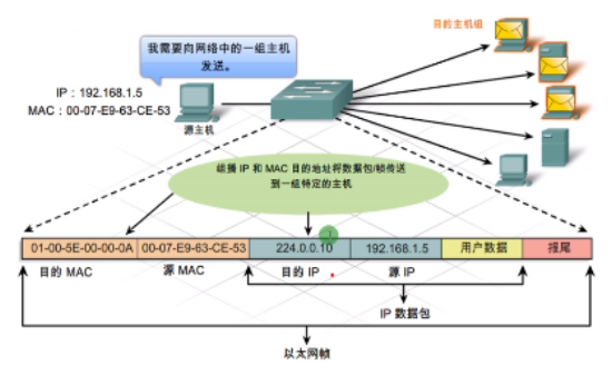image-20240219163300315