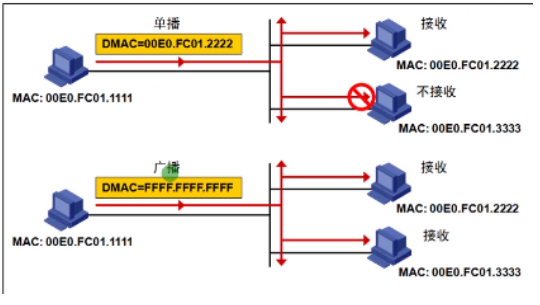 image-20240219163307382