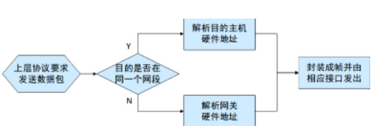 image-20240219163728537