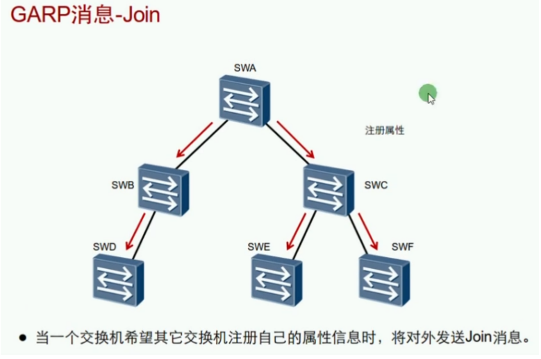 image-20240219165230901