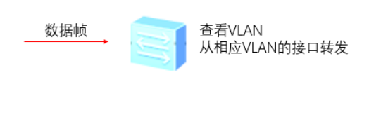 image-20240220142422865