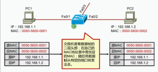 image-20240220142849065