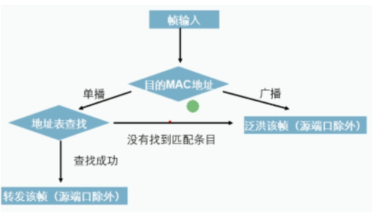 image-20240220142906430
