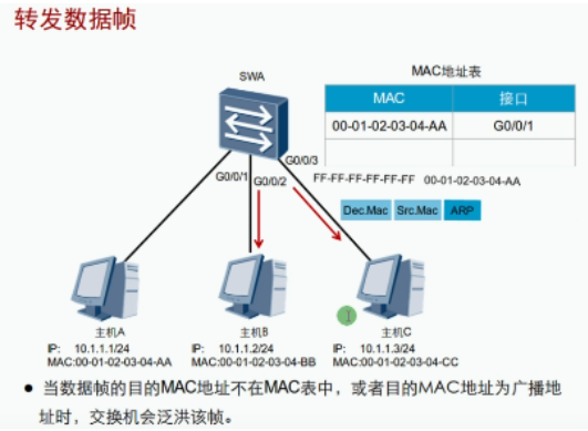 image-20240220142923211